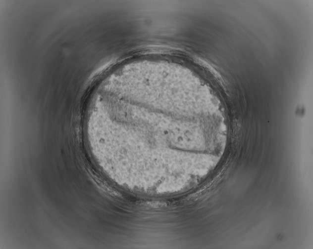 X0000097611403200803281003
