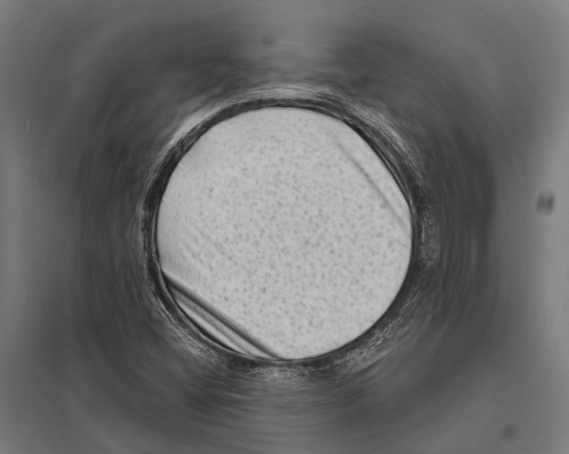 X0000097611404200803281003