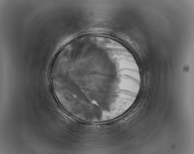 X0000097611405200803281003