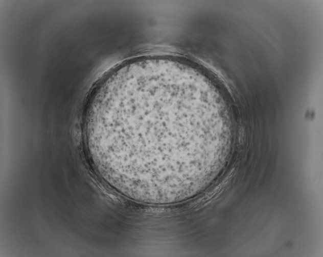 X0000097611407200803281003