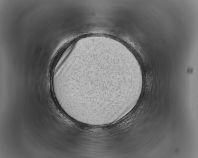 X0000097611408200803281003