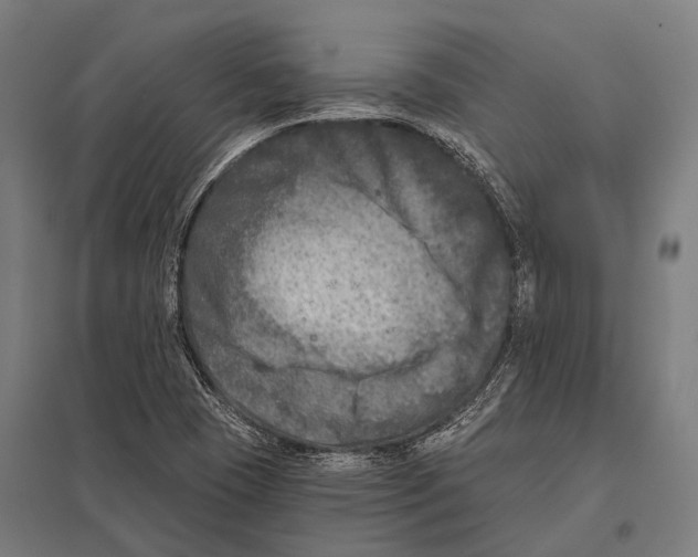 X0000097611409200803281003