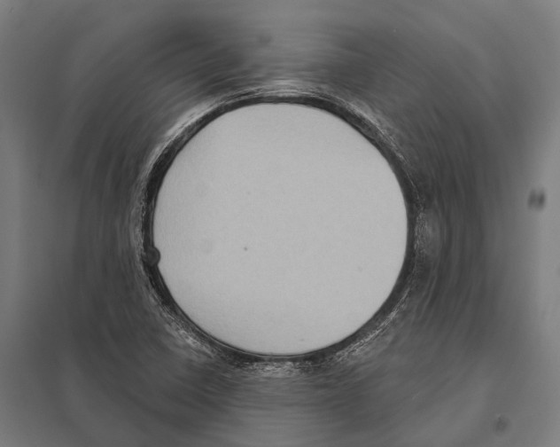 X0000097611410200803281003