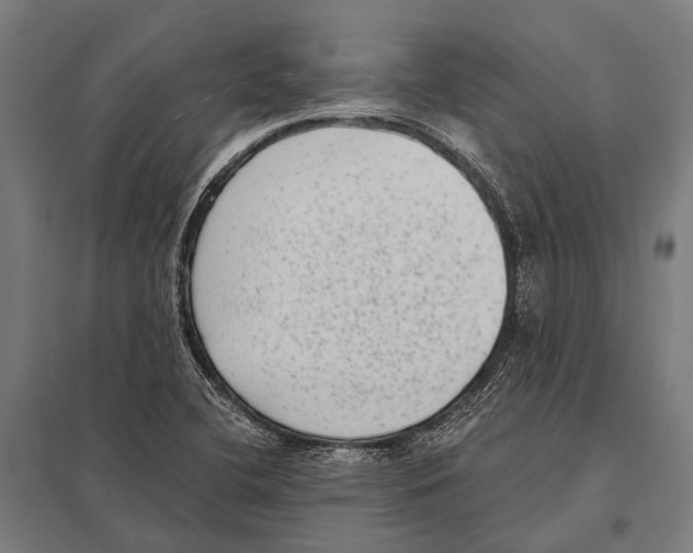 X0000097611412200803281003