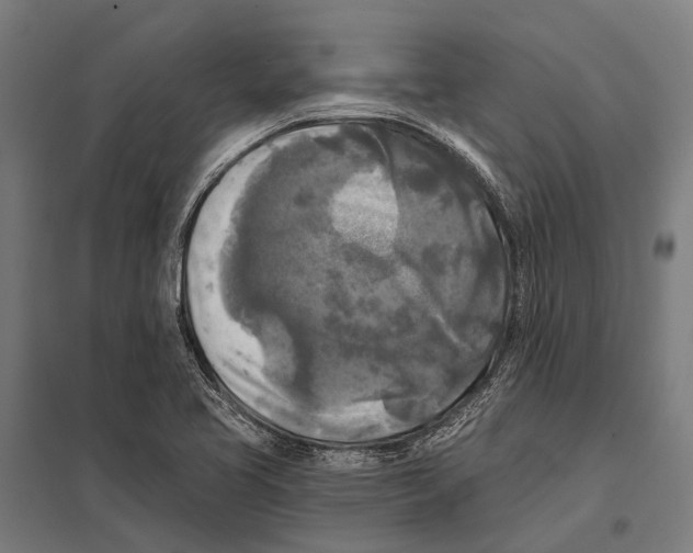 X0000097611413200803281003