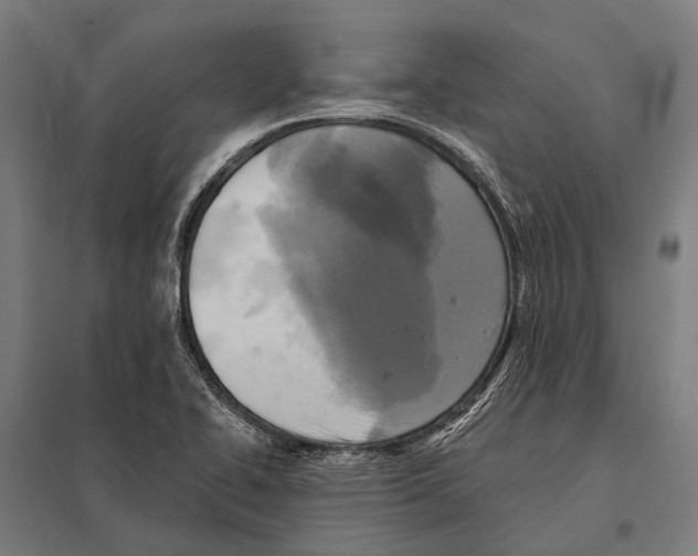 X0000097611414200803281003