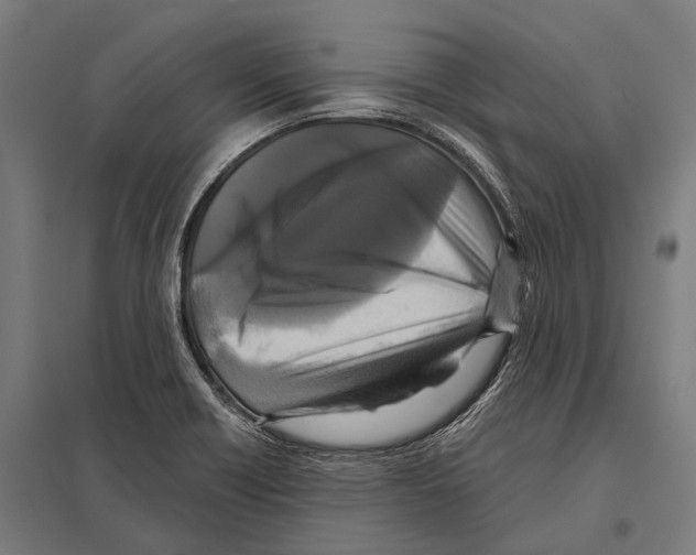 X0000097611418200803281003