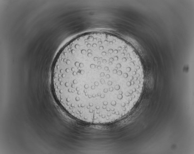 X0000097611420200803281003