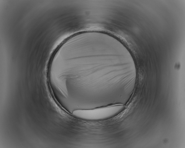 X0000097611422200803281004