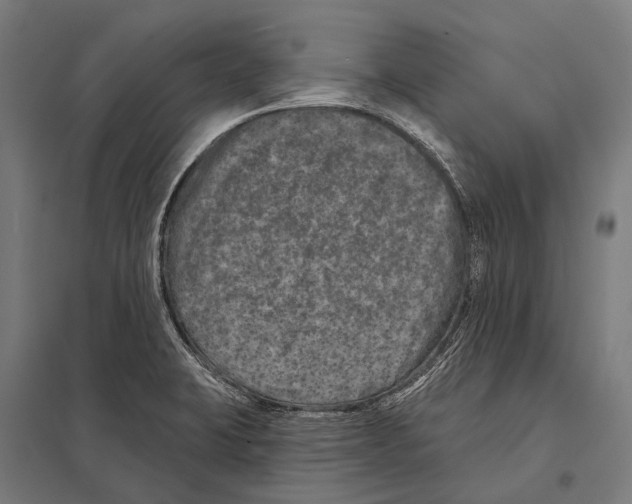 X0000097611423200803281004