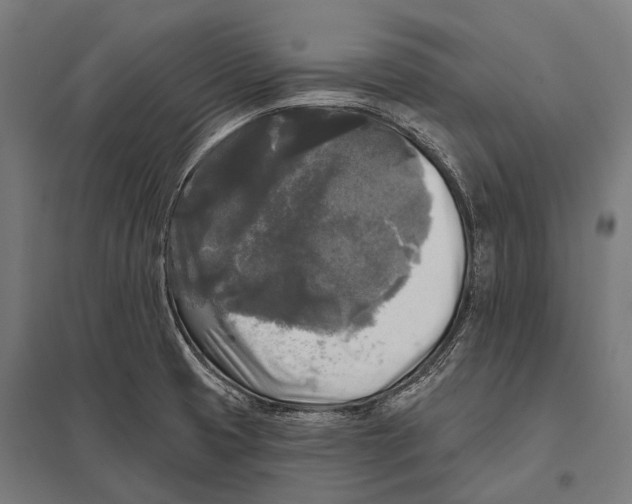 X0000097611425200803281004