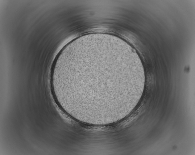 X0000097611426200803281004