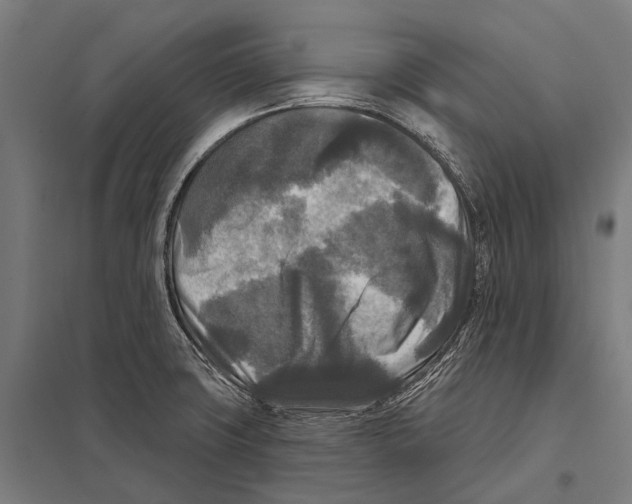 X0000097611427200803281004