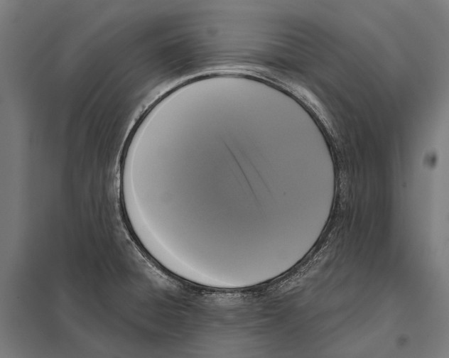 X0000097611428200803281004