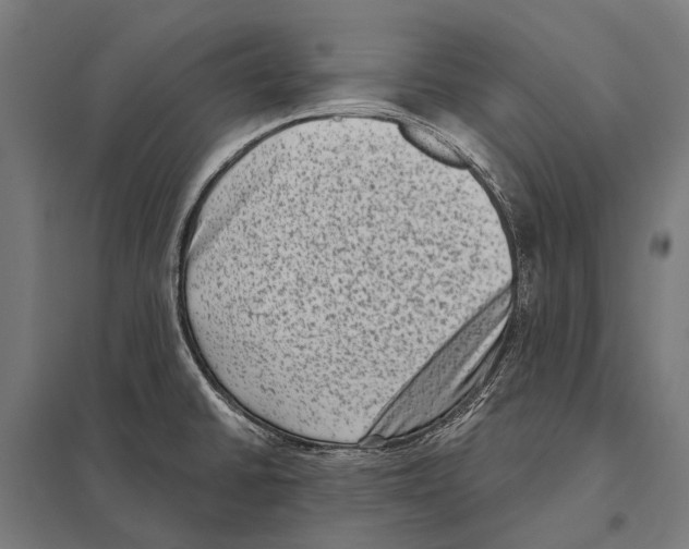 X0000097611430200803281004