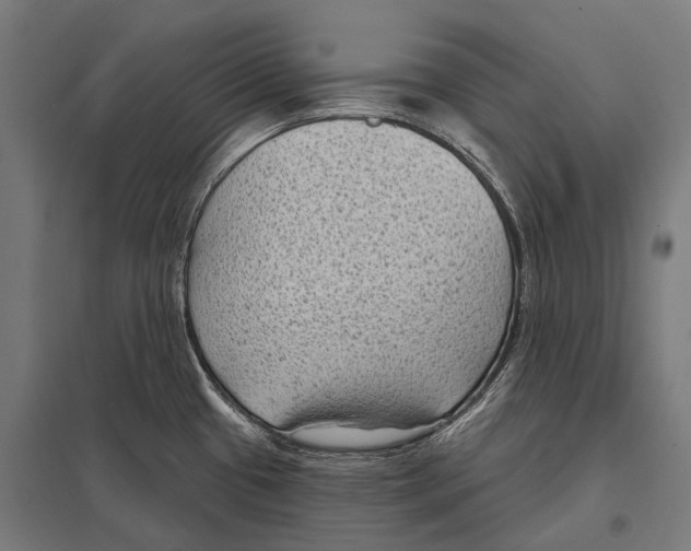 X0000097611433200803281004