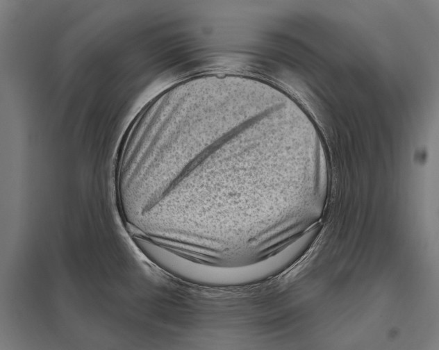 X0000097611434200803281004