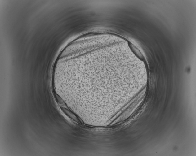 X0000097611437200803281004