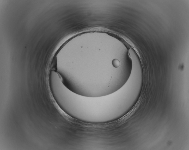 X0000097611438200803281004