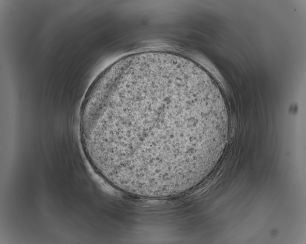 X0000097611439200803281004