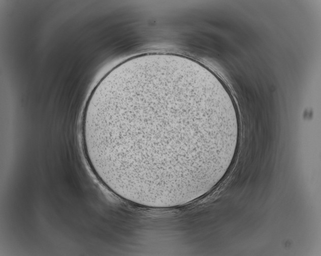 X0000097611440200803281004