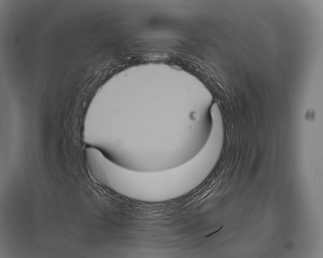 X0000097611441200803281003