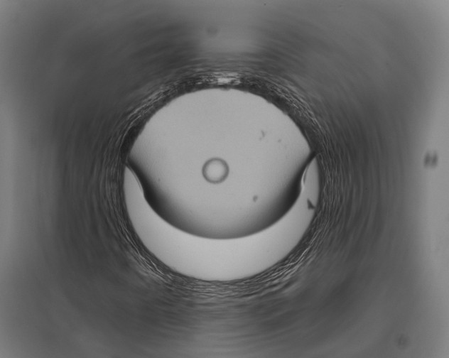 X0000097611442200803281003