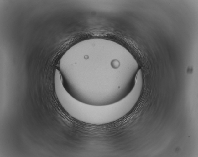 X0000097611444200803281003