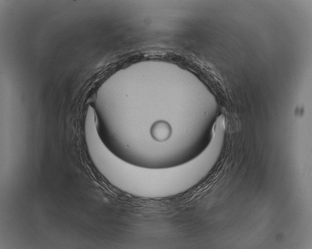 X0000097611445200803281003