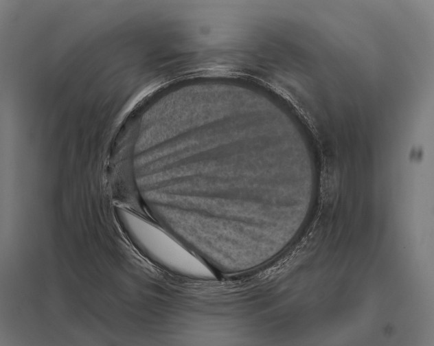 X0000097611450200803281003