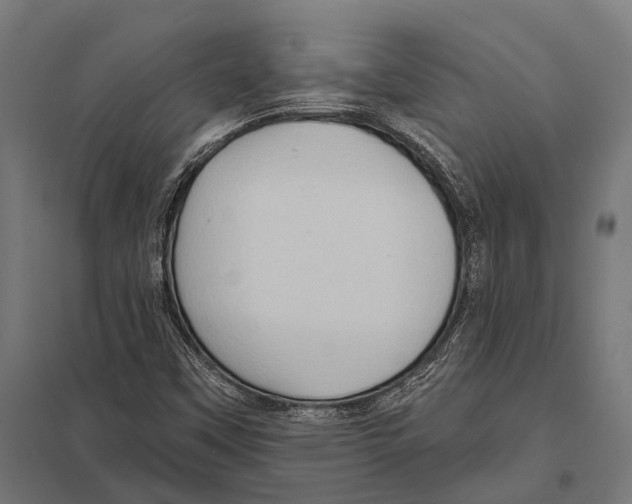 X0000097611451200803281003