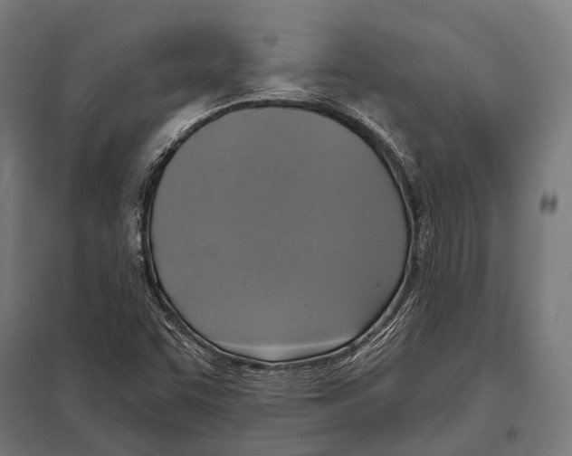 X0000097611455200803281003