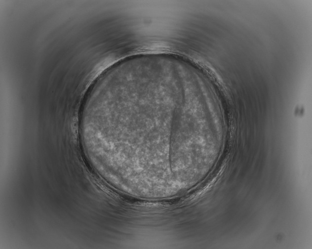 X0000097611457200803281003