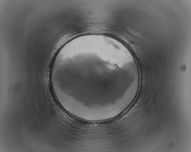 X0000097611459200803281003