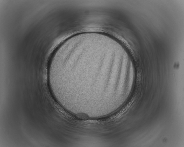 X0000097611461200803281003