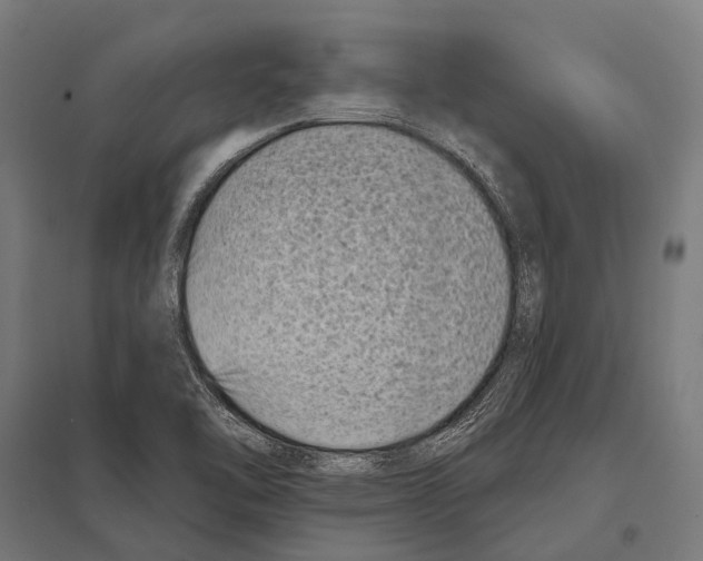 X0000097611462200803281003