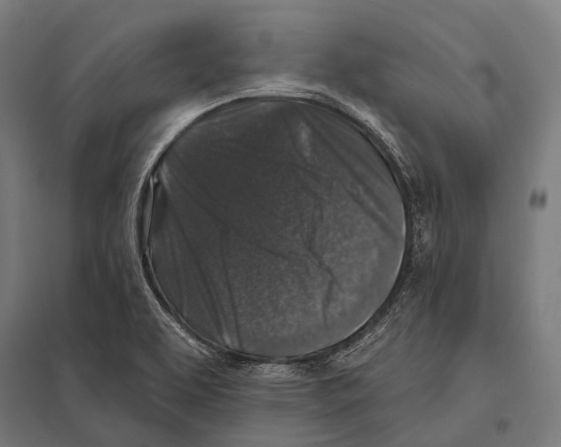 X0000097611463200803281003