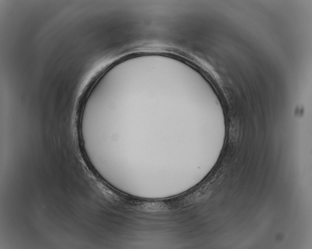 X0000097611464200803281003