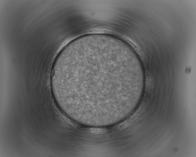 X0000097611465200803281003