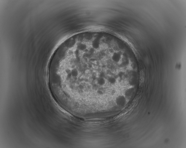 X0000097611467200803281003