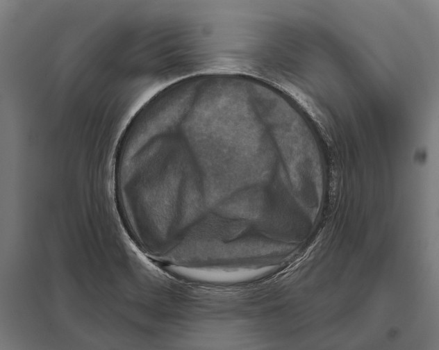 X0000097611468200803281003