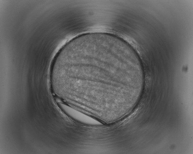 X0000097611469200803281003