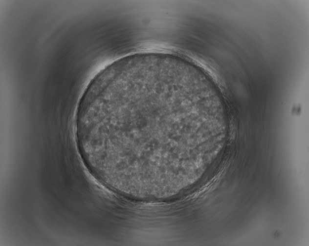 X0000097611471200803281003