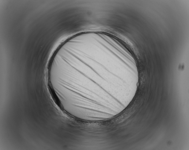 X0000097611472200803281003