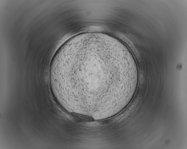 X0000097611473200803281003