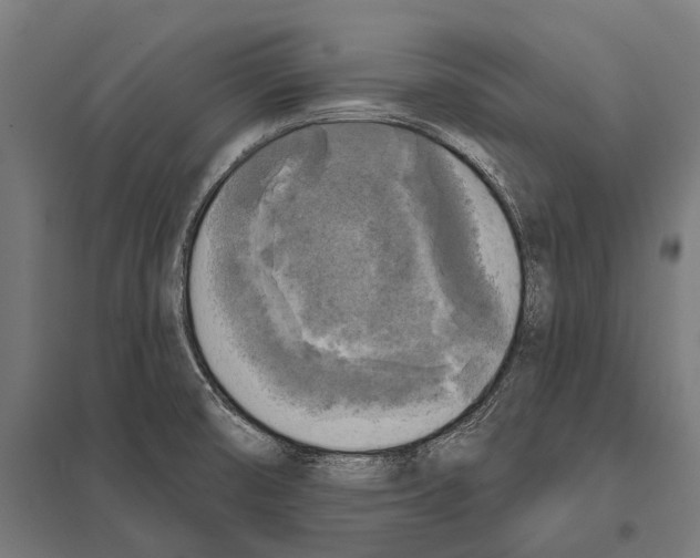 X0000097611474200803281003