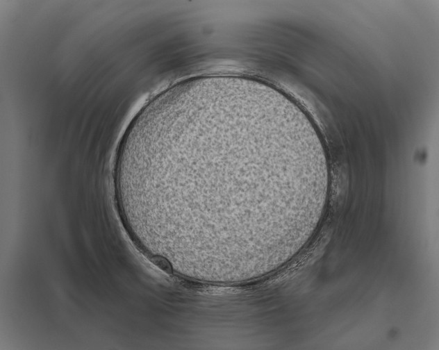 X0000097611475200803281003