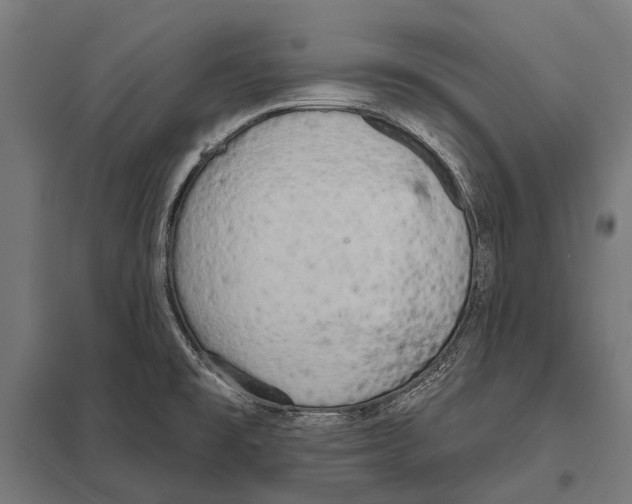 X0000097611477200803281003