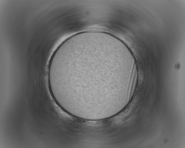 X0000097611478200803281003