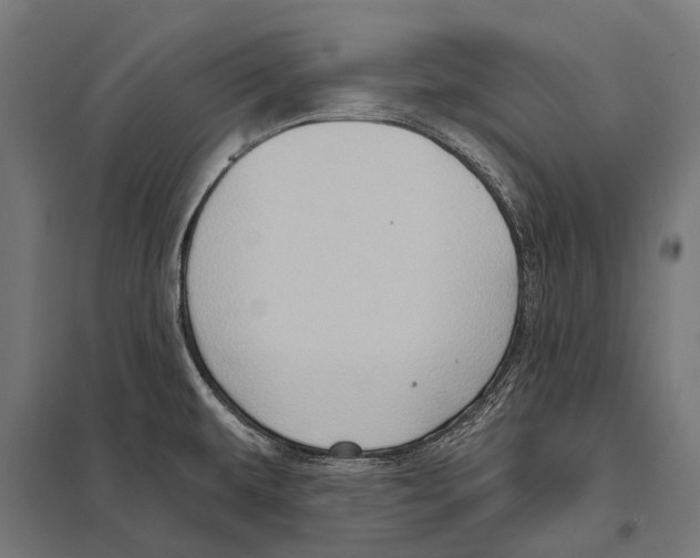 X0000097611479200803281003